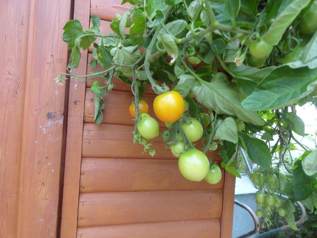 Orley House B&B Дрогеда Екстериор снимка